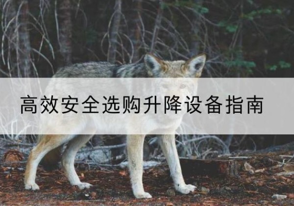 长沙升降货梯厂家推荐-*安全选购升降设备指南