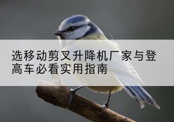 长沙电动升降机厂家-选移动剪叉升降机厂家与登高车必看实用指南