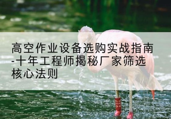 长沙剪叉式升降机厂家-高空作业设备选购实战指南-十年工程师揭秘厂家筛选核心法则